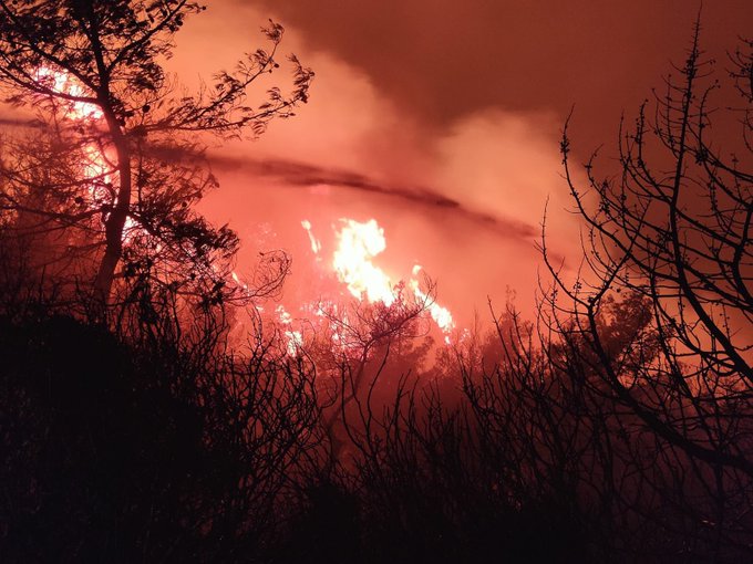 Selçuk ve Menderes'teki orman yangınları kontrol altına alındı